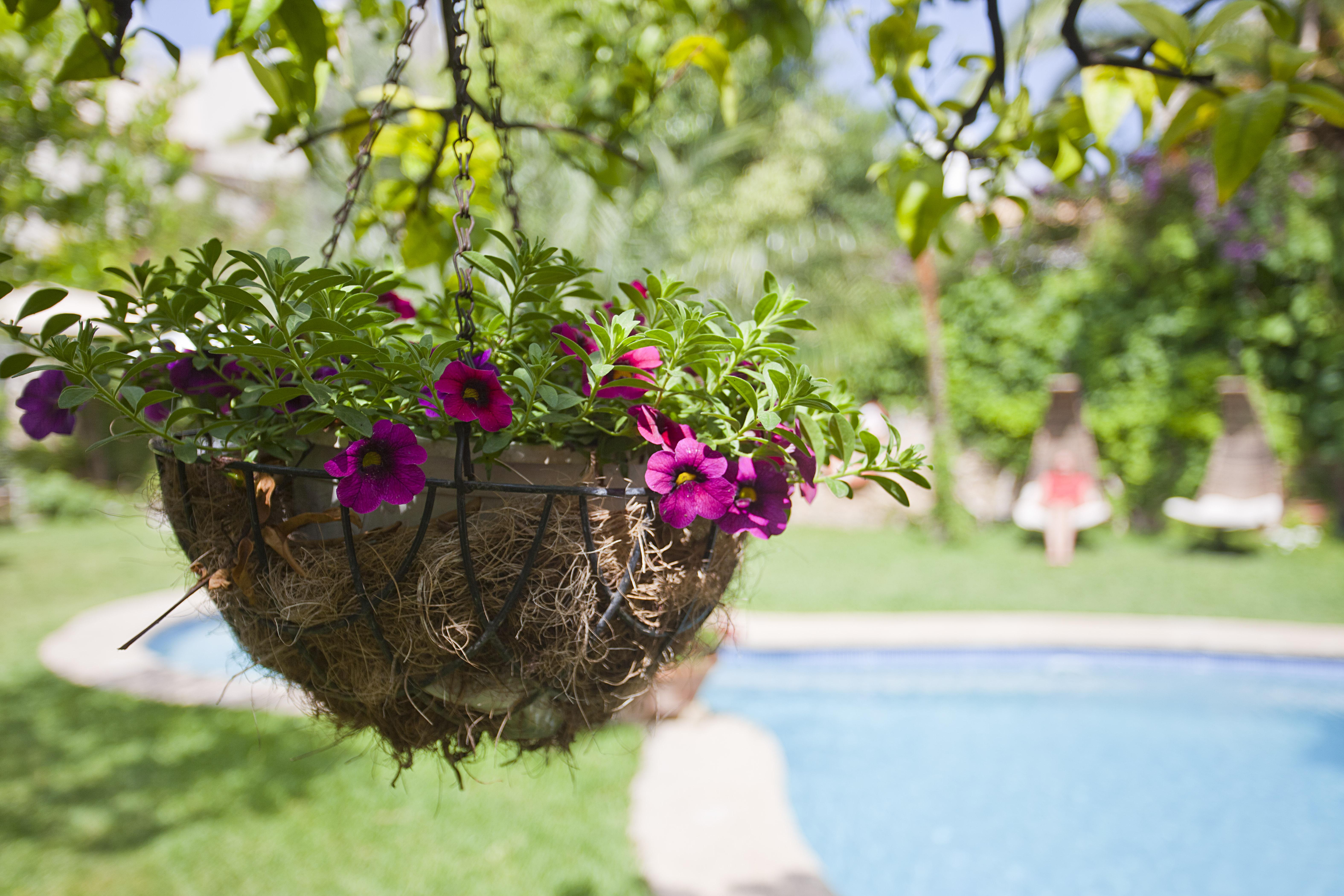 Son Sant Jordi Hotel Pollenca